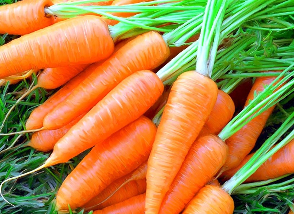 морковь для похудения рецепты