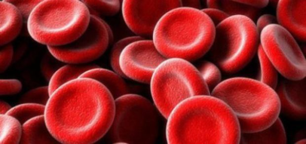 Причины повышения тромбоцитов в крови у взрослого