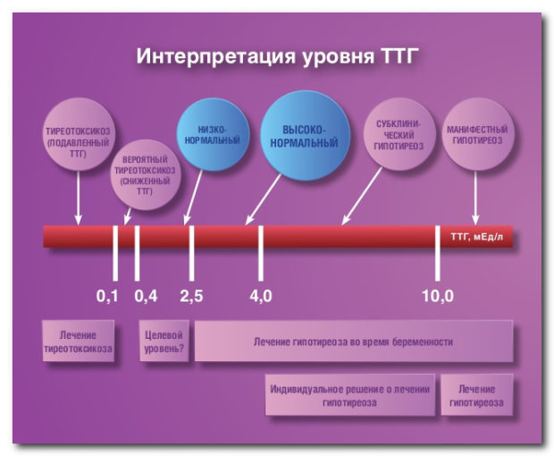 Интерпретация анализов на ТТГ