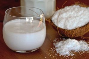 приготовленные в домашних условиях кокосовый порошок и молоко