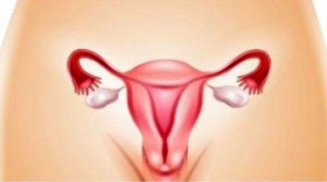 Важнейшей частью в лечении атрофии яичников является коррекция гормональных сдвигов